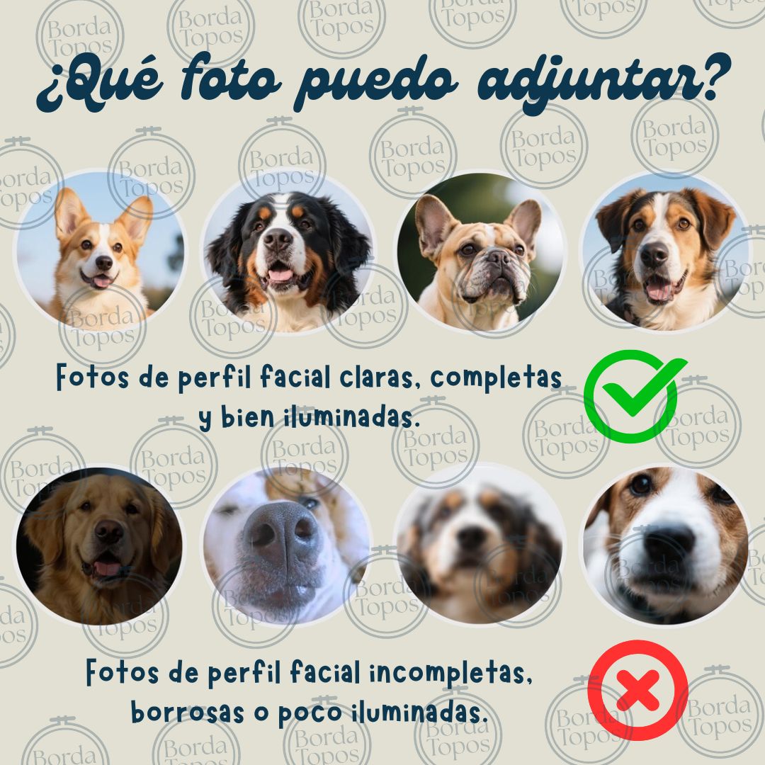 PACK 2 - Mascota Personalizada – Camiseta, Sudadera o Sudadera con Capucha